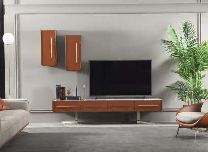 Orange living wall, stainless steel living walls, living room furniture, TV media wall